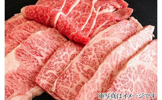 【冷凍】那須和牛焼肉セットA5（カルビ・もも・肩肉 各470g）牛肉 国産 冷蔵 冷凍 焼肉〔E-5〕 589694 - 栃木県那須町