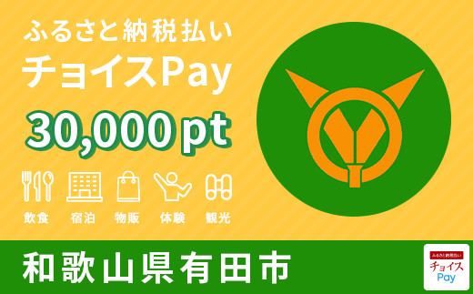 有田市チョイスPay 30,000pt（1pt＝1円）