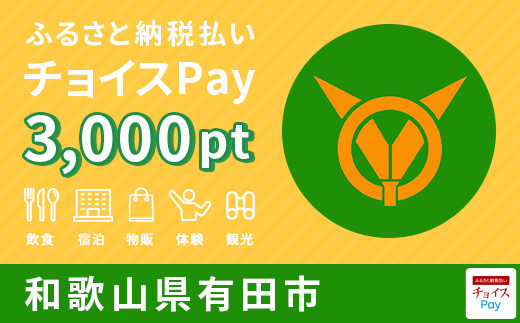 有田市チョイスPay 3,000pt（1pt＝1円）