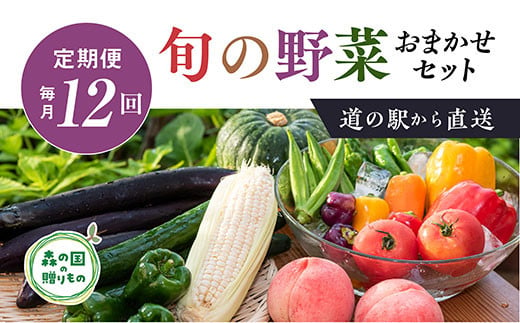 【毎月12回定期便】道の駅「虹の森公園まつの」産直市 朝採り野菜9～10種類＆特産品セット