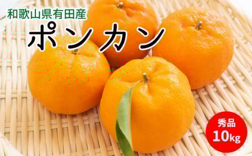 U6227n_【ふるさと納税】【2026年先行予約】ポンカン 秀品 約10kg 和歌山県有田産【ぽんかん ミカン 蜜柑 柑橘 和歌山 有田】
