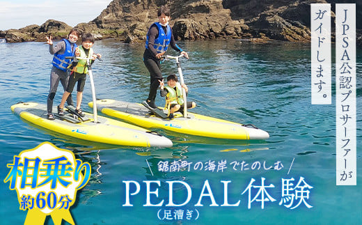 PEDAL（足漕ぎ）SUP体験（約60分） F22X-088 708322 - 千葉県鋸南町