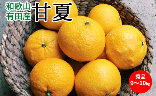 U6304_【ふるさと納税】【2026年先行予約】甘夏 秀品 約9～10kg 和歌山県有田産【あまなつ 甘夏 ミカン 夏みかん 蜜柑 柑橘 和歌山】