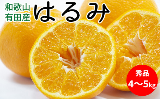 U6308_【ふるさと納税】【2026年先行予約】はるみ 秀品 約4～5kg 和歌山県有田産【ハルミ 春見 ミカン 蜜柑 柑橘 和歌山 有田】