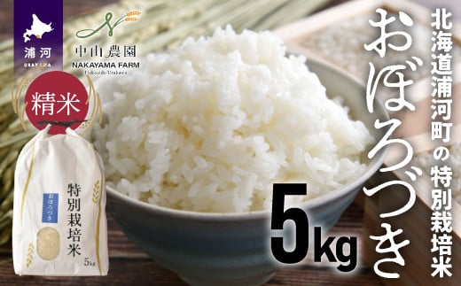 特別栽培米「おぼろづき5kg」を「精米」してお届けします！