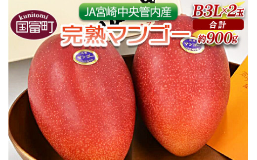 宮崎産 完熟マンゴー 2.4kg-