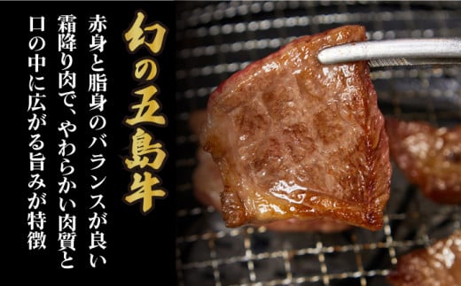 お歳暮対象】【幻の和牛！とろける肉汁がたまらない…！】 五島牛 特選