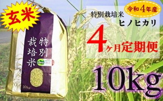 ZE-2 【4ヶ月連続お届け】佐賀県産 特別栽培米 ヒノヒカリ10kg 399742 - 佐賀県太良町