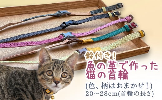 鈴付き！魚の革で作った猫の首輪（色、柄はおまかせ！） 
