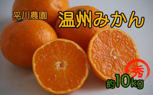 平川さんちの温州みかん 10kg | フルーツ 果物 くだもの 柑橘 柑橘類 みかん ミカン 温州みかん 温州ミカン 熊本県 玉名市 415054 - 熊本県玉名市