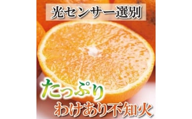 ＜2月より発送＞家庭用 不知火5kg+150g（傷み補償分）【デコポンと同品種・人気の春みかん】【わけあり・訳あり】【光センサー選別】 765397 - 和歌山県和歌山市