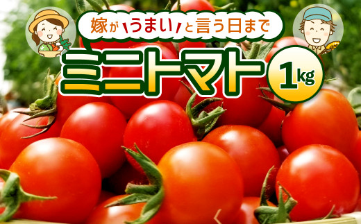 嫁がうまいと言う日まで ミニトマト 1kg トマト