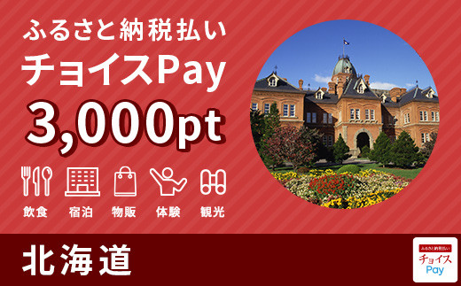 北海道チョイスPay 3,000pt(1pt=1円)