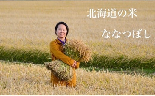 【2024年度米】山内農園　ななつぼし　10kg【無洗米】 315183 - 北海道中富良野町