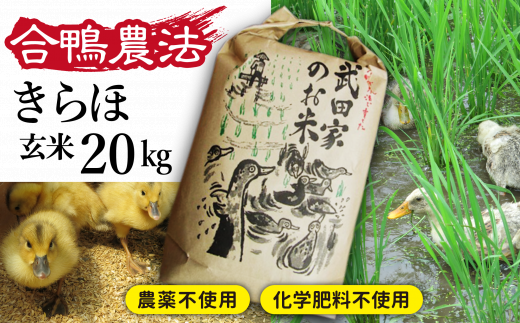 令和４年度産》武田家のお米 きらほ（玄米）20kg＜合鴨農法＞【米農家