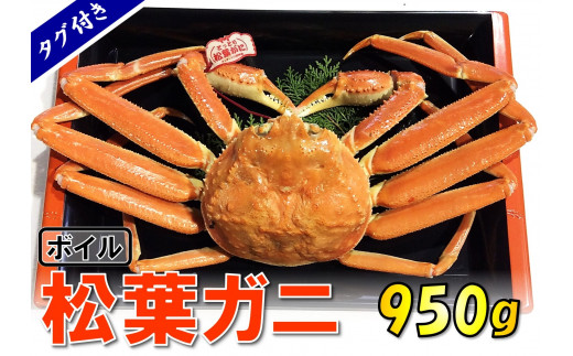 1541【魚倉】タグ付きボイル松葉ガニ (特大950g)