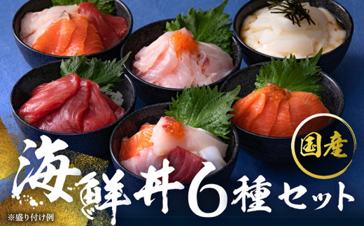 【純国産】数量限定！海鮮丼の具の贅沢６種類セット 392913 - 福井県越前市