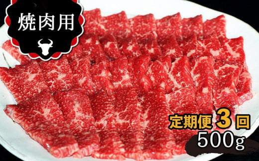 【定期便3回】 肥後の あか牛 焼肉用 500g 422004 - 熊本県玉名市