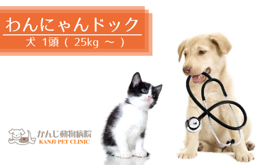 Ap009 わんにゃんドック 犬 1頭 体重25kg 千葉県松戸市 ふるさとチョイス ふるさと納税サイト
