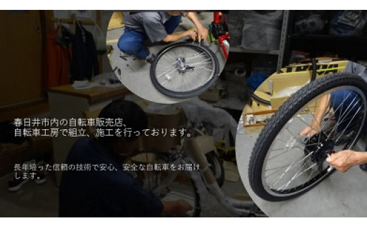 BAGGIO 防災対応20型６スピードノンパンク折りたたみ自転車 色