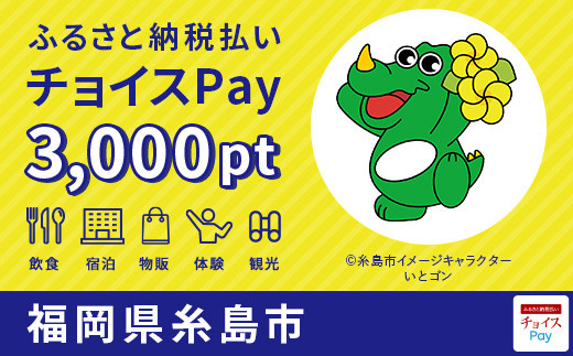 糸島市チョイスPay 3,000pt（1pt＝1円）
