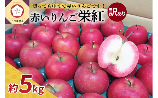 [選べる配送時期]中まで赤〜い りんご[栄紅] 訳あり 約 5kg 青森県 五所川原市 チョイス限定