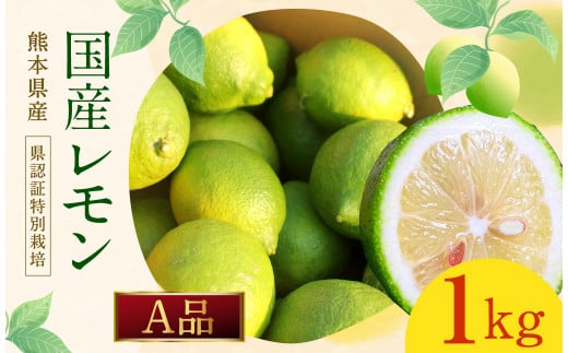 【2023年9月上旬発送開始】  国産 レモン A品 1kg (県認証特別栽培) 国産 柑橘 果物 フルーツ