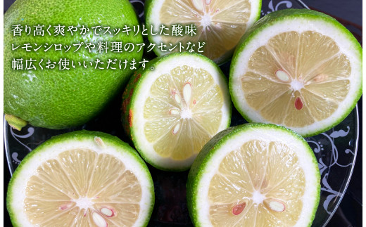  国産 レモン A品 1kg (県認証特別栽培) 国産