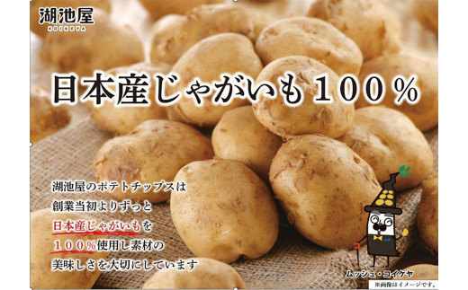 KOIKEYA PRIDE POTATO 神のり塩 24袋セット (1袋 55g ×24) ポテトチップス 国産じゃがいも