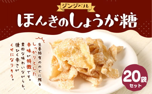 ほんきのしょうが糖 40g×20袋 セット しょうが 生姜 和菓子 799249 - 熊本県合志市