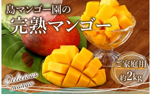 【数量限定追加】島マンゴー園の完熟マンゴー【ご家庭用】2kg