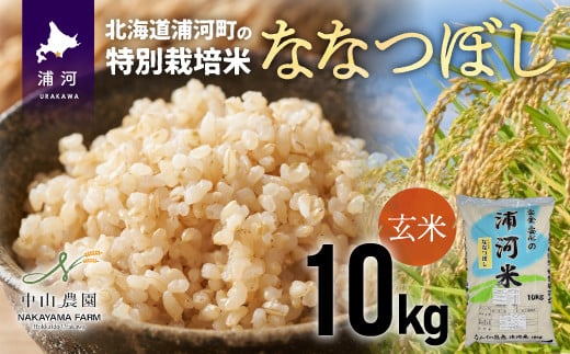 浦河町特別栽培米「ななつぼし」を是非ご賞味ください！