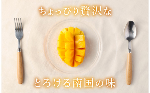 【2024年発送】【贈答用】島マンゴー園の完熟マンゴー Ａ品 1kg 