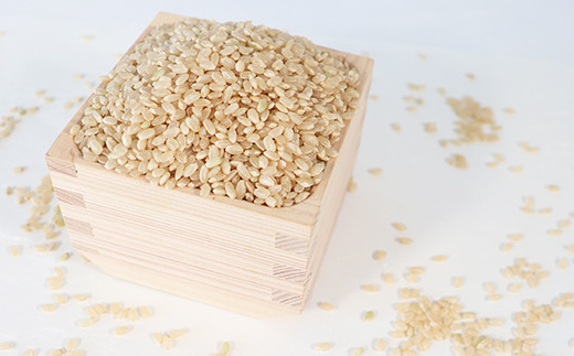 コシヒカリ玄米約３０kg