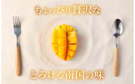 【2024年発送】【贈答用】島マンゴー園の完熟マンゴー Ａ品 2kg