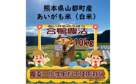 熊本県山都町の豊かな自然に育まれた山都町の湧水米｜ふるさとチョイス