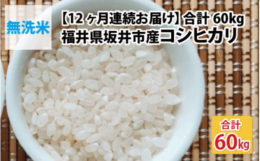 【12ヶ月連続お届け】福井県坂井市丸岡町産 コシヒカリ5kg×12回 計60kg（無洗米）  [I-11301_01]