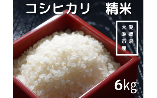 米/穀物お米 令和元年 愛媛県産あきたこまち 白米 20㎏ - 米/穀物