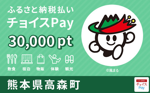 高森町チョイスPay 30,000pt（1pt＝1円）