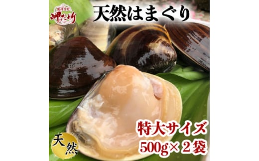 岬だよりの 希少 天然はまぐり 特大サイズ 500g×2袋 738621 - 愛知県南知多町