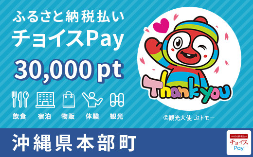 本部町チョイスPay 30,000pt（1pt＝1円） - 沖縄県本部町｜ふるさと