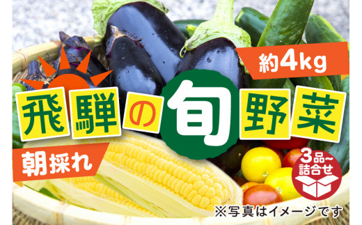 《7～10月発送》夏秋 野菜 たっぷり詰め合わせ セット 3品以上 約3kg 朝採れ 産地直送 syun128