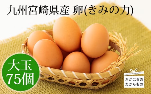 宮崎県産の新鮮たまご『きみの力(チカラ)』75個Lサイズの卵 ミネラルたっぷりのカキガラや上質な飼料ですくすく育った鶏の卵は甘くておいしい逸品 たまご 玉子 大容量 大玉 10000円 1万円