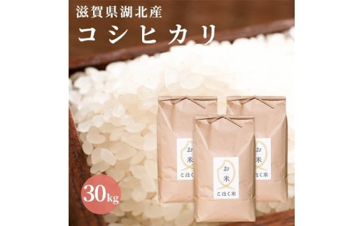 令和5年 滋賀県湖北産 湖北のコシヒカリ 10kg 【食味最高ランク特A 2年