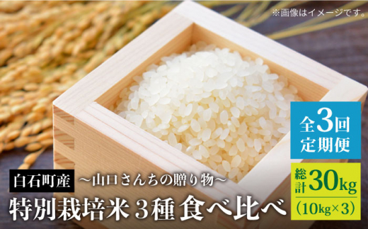 【先行予約】【全3回】特別栽培米 3種 食べ比べ 定期便 各回 10kg～山口さんちの贈り物 ～【y'scompany】米 お米 [IAS015] 417259 - 佐賀県白石町