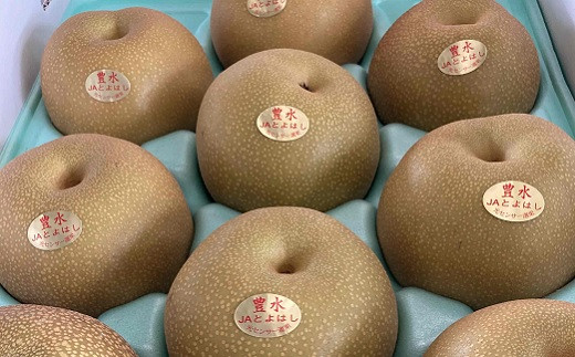 ≪先行予約≫ 豊橋産 豊水梨 5kg (10〜20玉) 梨 フルーツ