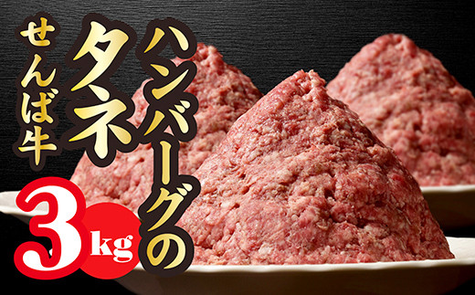 V-5r 【3kg】ハンバーグのタネ〈牛肉100%〉せんば（千葉）牛【たっぷり】