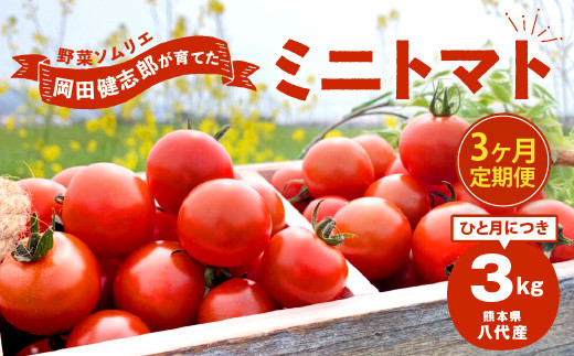 【先行受付】 野菜 ソムリエ岡田健志郎が育てた ミニトマト 3kg 3回発送 定期便