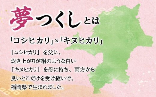 【6回定期便】無洗米 福岡県産 ｢夢つくし｣ 10kg(5kg×2袋)×6回 合計60kg