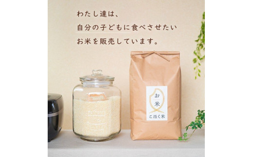 アイテムID:313429の画像2枚目